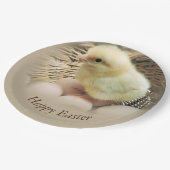 Happy Easter Baby Chick in een mandje Papieren Bordje (Gekanteld)
