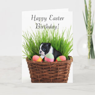 Happy Easter Birthday Boston Terrier Dog Kaart