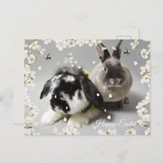 Happy Easter Briefkaart (Voorkant / Achterkant)