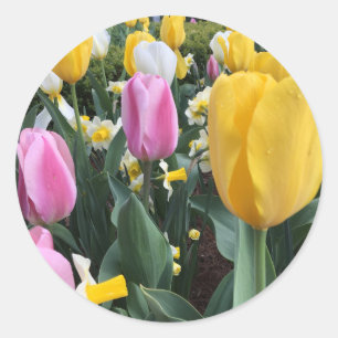 Happy Easter Bright Yellow Tulips Sticker