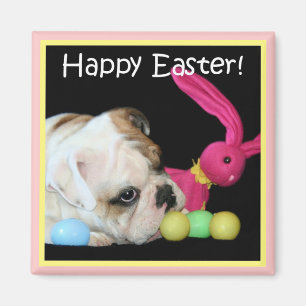 Happy Easter Bulldog Magnet