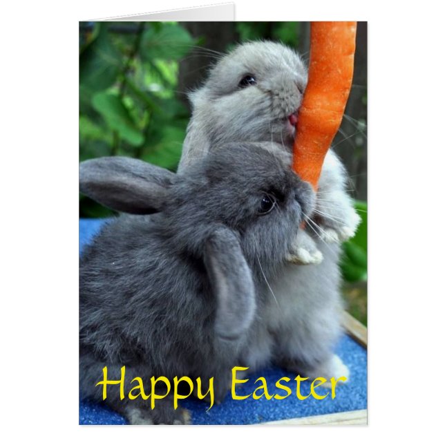 Happy Easter Bunnies Wenskaart (Voorkant)