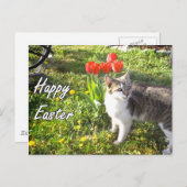 Happy Easter Cat briefkaart (Voorkant / Achterkant)