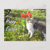 Happy Easter Cat briefkaart (Voorkant)