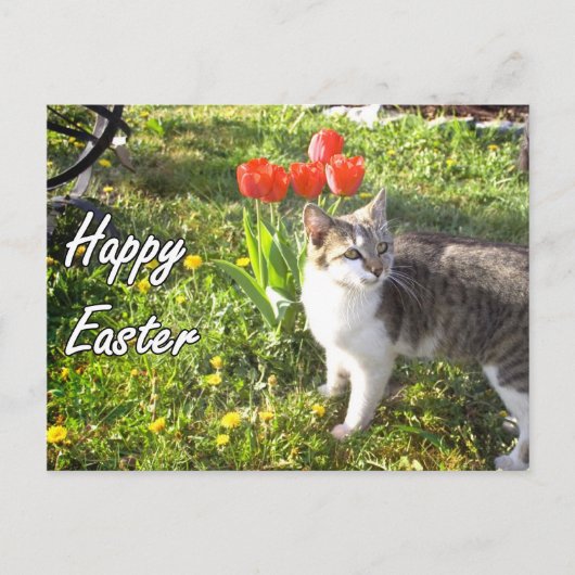 Happy Easter Cat briefkaart (Voorkant)