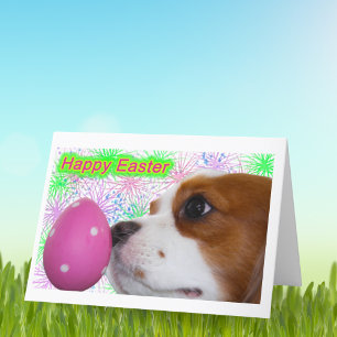 Happy Easter Cavalier King Charles Spaniels Feestdagen Kaart
