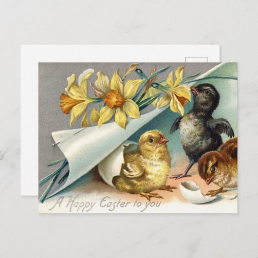 Happy Easter Chicken en Daffodils Feestdagenkaart (Voorkant / Achterkant)