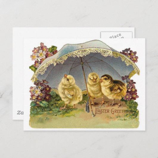 Happy Easter Chicks  Feestdagenkaart (Voorkant / Achterkant)