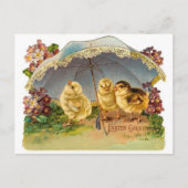 Happy Easter Chicks  Feestdagenkaart (Voorkant)