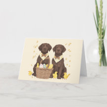 Happy Easter Chocolate Labrador Retriever Honden