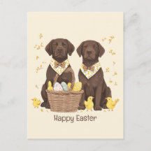 Happy Easter Chocolate Labrador Retriever Honden