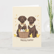 Happy Easter Chocolate Labrador Retriever Honden