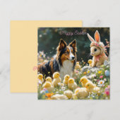 Happy Easter Collie en Chicks Magnet (Voorkant / Achterkant)