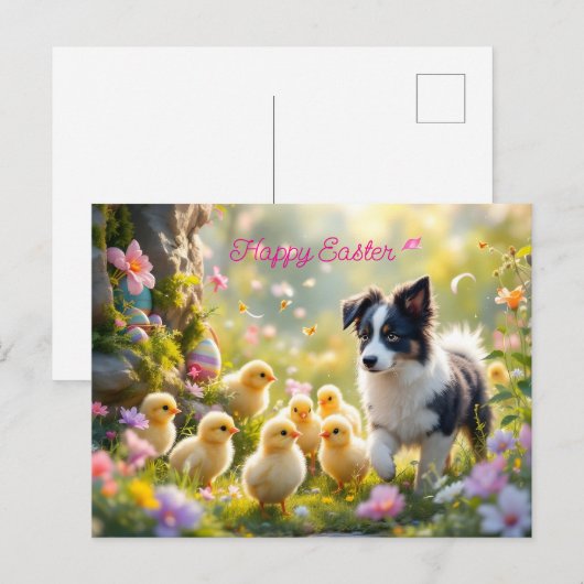 Happy Easter Collie en de kuikens Briefkaart (Voorkant / Achterkant)