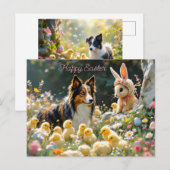 Happy Easter Collie en de kuikens Briefkaart (Voorkant / Achterkant)