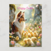 Happy Easter Collie en de kuikens Briefkaart (Voorkant)