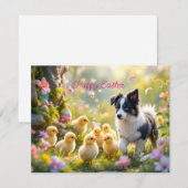 Happy Easter Collie en de kuikens Feestdagenkaart (Voorkant / Achterkant)