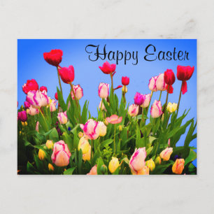 Happy Easter diverse Tulips #3 Briefkaart