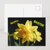 Happy Easter Dubbelbloemige narcissen Briefkaart (Voorkant / Achterkant)