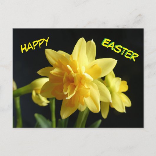 Happy Easter Dubbelbloemige narcissen Briefkaart (Voorkant)