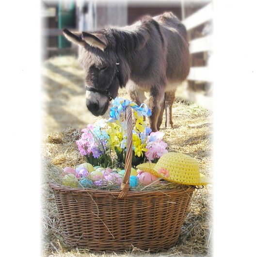 "Happy Easter"-feestdag Kaart