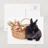 Happy Easter Feestdagenkaart (Voorkant / Achterkant)