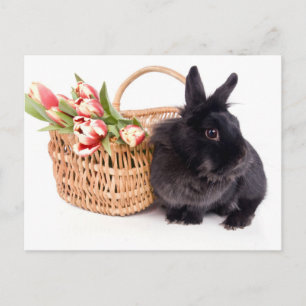 Happy Easter Feestdagenkaart