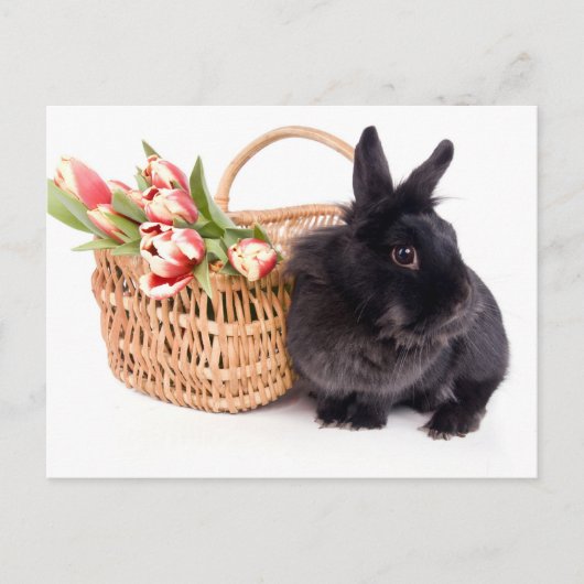 Happy Easter Feestdagenkaart (Voorkant)