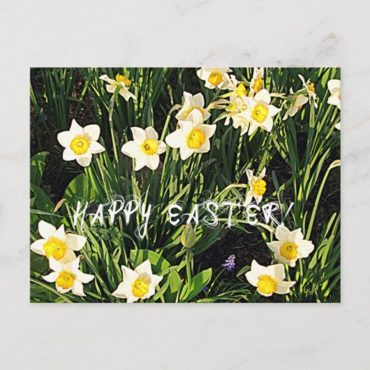 Happy Easter Feestdagenkaart (Voorkant)