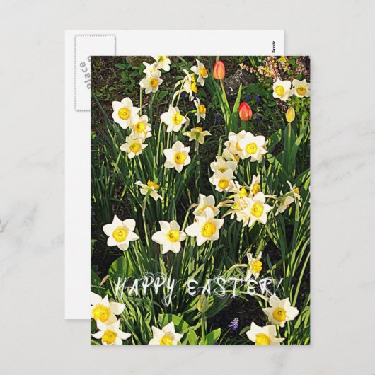 Happy Easter Feestdagenkaart (Voorkant / Achterkant)