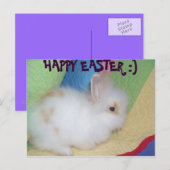 Happy Easter Feestdagenkaart (Voorkant / Achterkant)