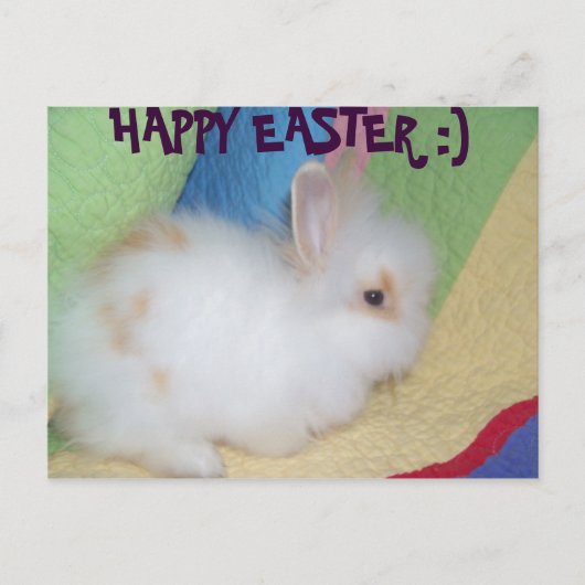 Happy Easter Feestdagenkaart (Voorkant)