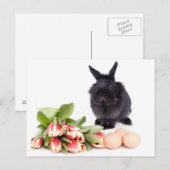 Happy Easter Feestdagenkaart (Voorkant / Achterkant)