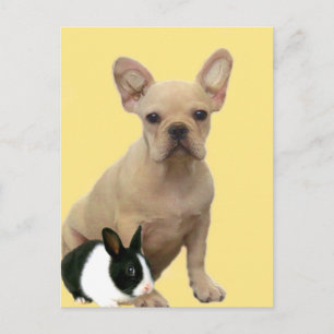Happy Easter Franse Bulldog briefkaart