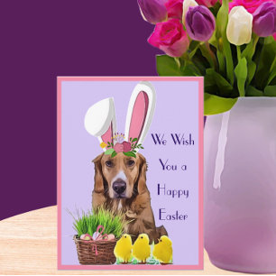Happy Easter Golden Retriever met Chicken and Eggs Briefkaart