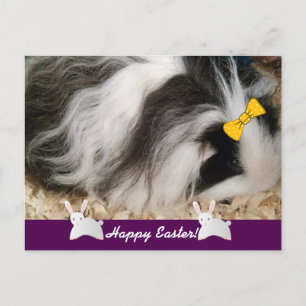 Happy Easter Guinea Pig Feestdagenkaart