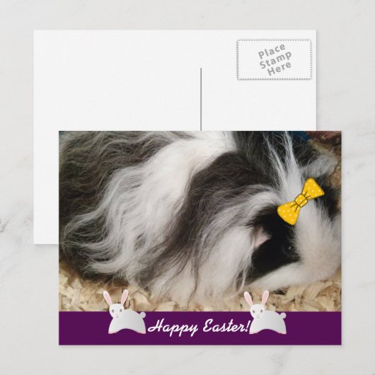 Happy Easter Guinea Pig Feestdagenkaart (Voorkant / Achterkant)