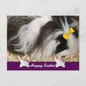 Happy Easter Guinea Pig Feestdagenkaart (Voorkant)