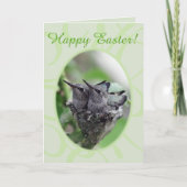 Happy Easter | Hummingvogels op de Nest-foto | Feestdagen Kaart (Voorkant)