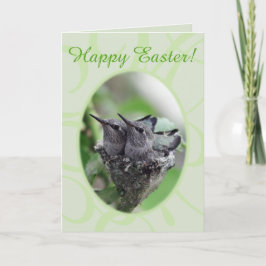 Happy Easter | Hummingvogels op de Nest-foto | Feestdagen Kaart