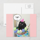 Happy Easter Kat Feestdagenkaart (Voorkant / Achterkant)
