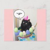 Happy Easter Kat Feestdagenkaart (Voorkant)