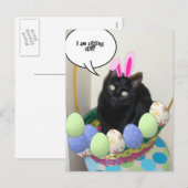 Happy Easter Kat Feestdagenkaart (Voorkant / Achterkant)