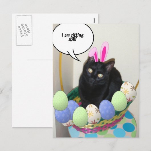 Happy Easter Kat Feestdagenkaart (Voorkant / Achterkant)