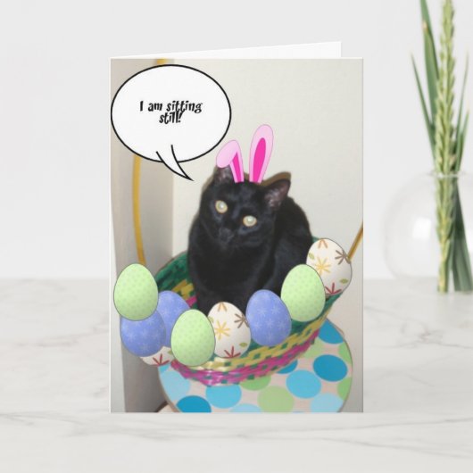 Happy Easter Kat Humor Feestdagen Kaart (Voorkant)