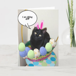 Happy Easter Kat Humor Feestdagen Kaart