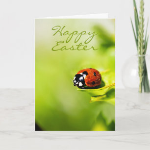 Happy Easter Ladybird op een Horthorn Struik - Voo Feestdagen Kaart