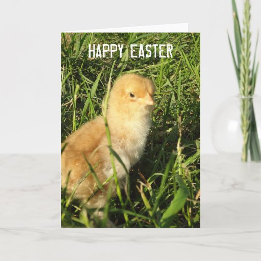 Happy Easter Little Chick Kaart (Voorkant)