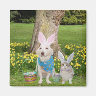 Happy Easter Magneet