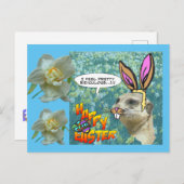 Happy Easter Meerkat Daffodils Briefkaart (Voorkant / Achterkant)